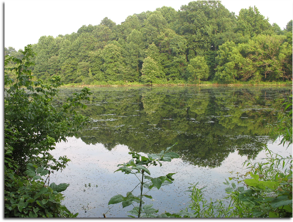 Lake Elkhorn - Always Caring, Assisted Living Homes, Columbia, Maryland